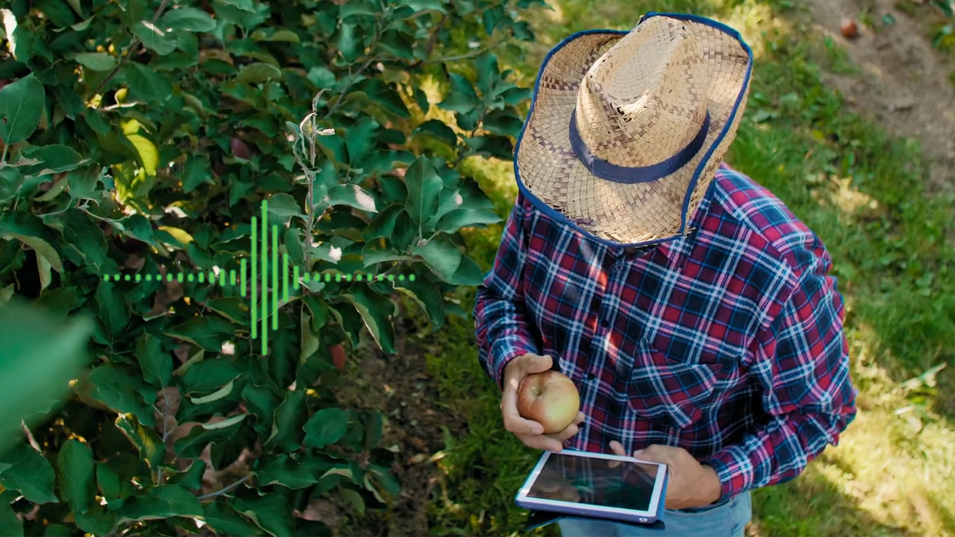 Innov8.ag Launches Industry's First Decision-Making Operational Intelligence Service for Agriculture